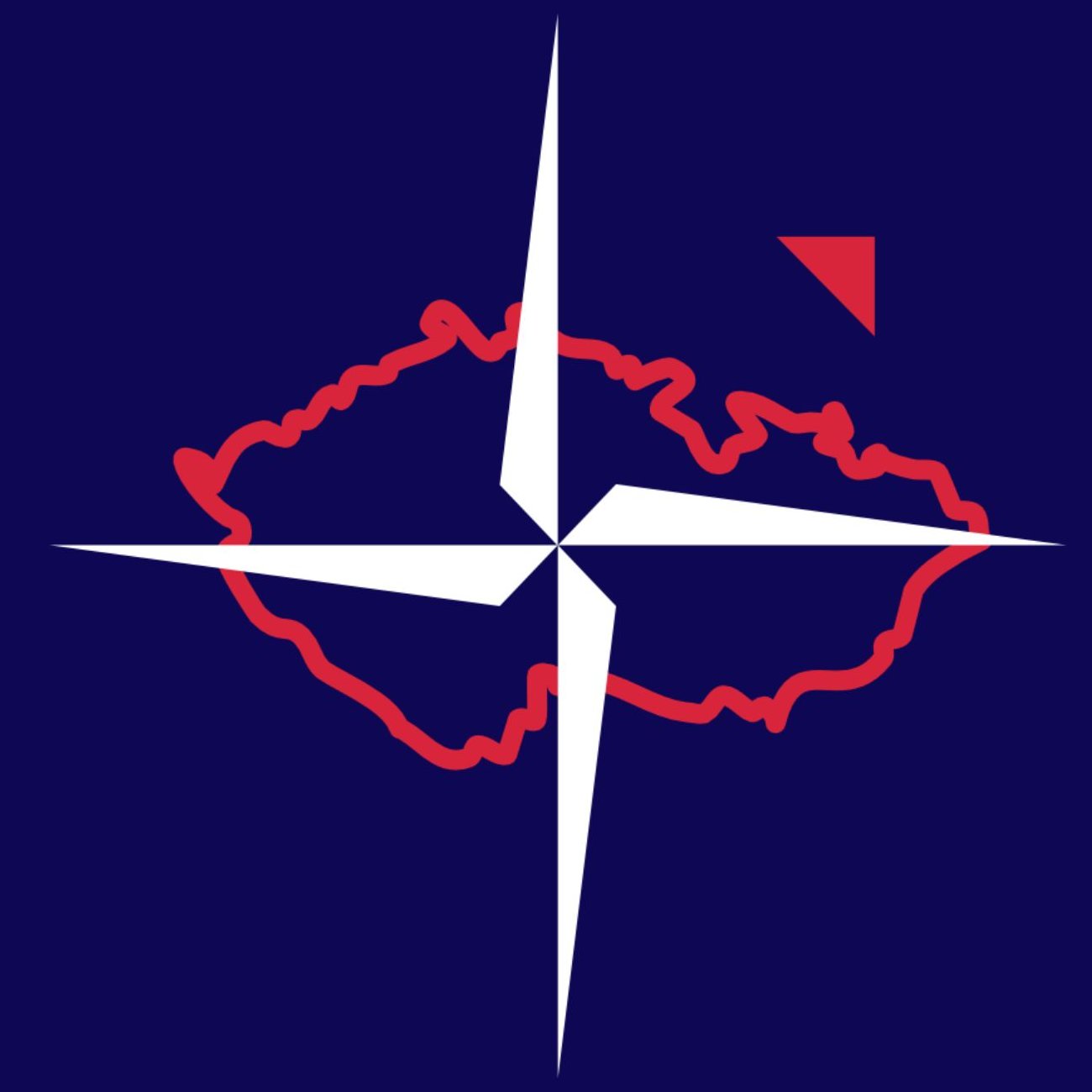 Nadace Patroni Česka
